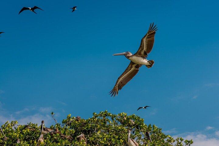 メリダ発セレストゥンの生物圏保護区へのボートツアー