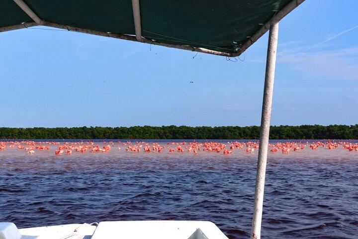 メリダ発セレストゥンの生物圏保護区へのボートツアー