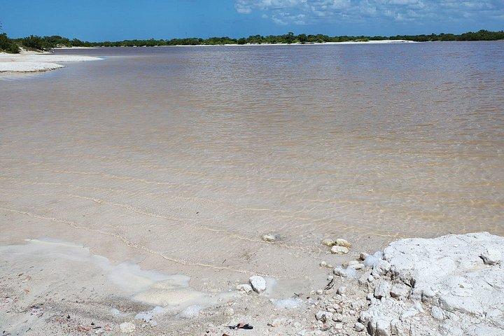 メリダ発セレストゥンの生物圏保護区へのボートツアー