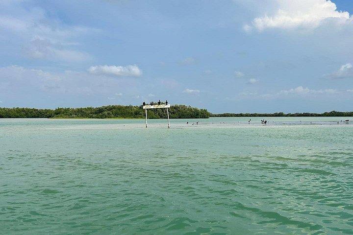 メリダ発セレストゥンの生物圏保護区へのボートツアー