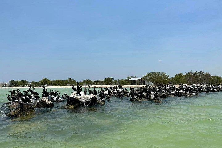 メリダ発セレストゥンの生物圏保護区へのボートツアー
