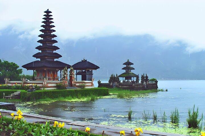 Privé autocharter voor een hele dag: schoonheid van Noord-Bali Tour