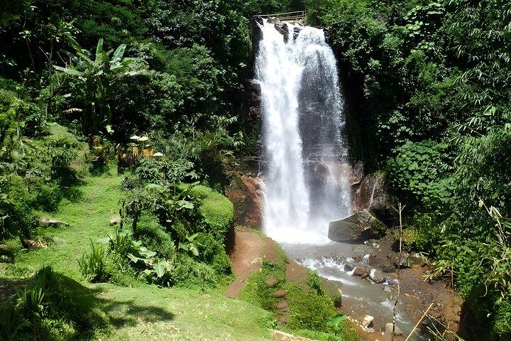 Privé autocharter voor een hele dag: schoonheid van Noord-Bali Tour