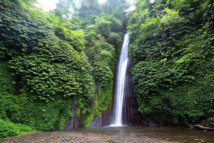 Bali Car-Charter: Amazing North Bali Tour