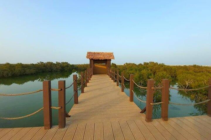Tour Privado no Norte do Qatar