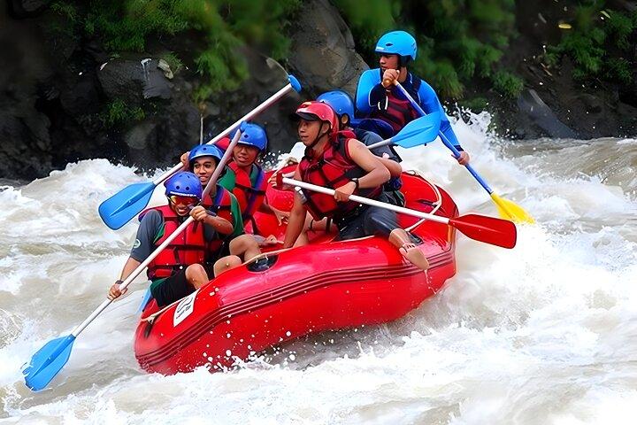 Ayung River Rafting och Ubud Waterfall Tour