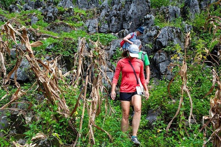 4-daagse trekking in Ha Giang - Tay Con Linh
