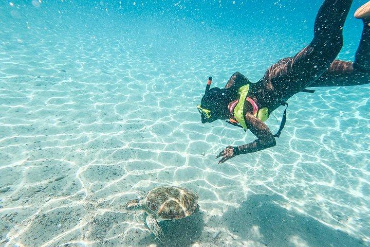 Curaçao Tours Beach Escape