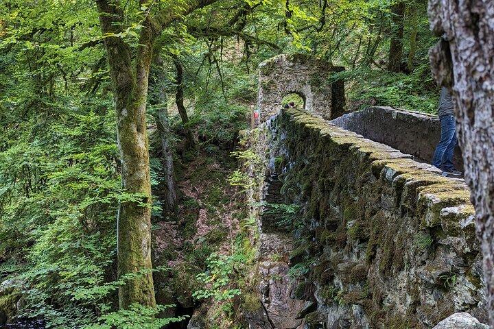 Scone Palace, Natur, Pitlochry, Whisky Experience ab Glasgow