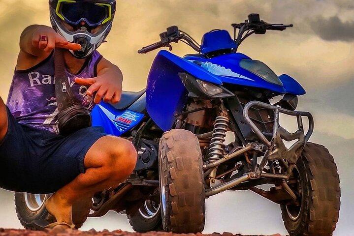 Marrakech: Quad Bike Tour in palm grove