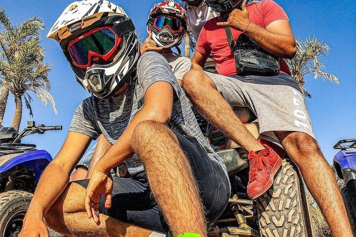 Marrakech: Quad Bike Tour in palm grove