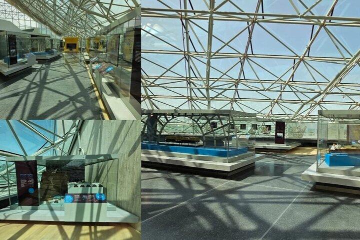 Visite privée du port Hamad à Mesaieed | Aquarium | Musée maritime