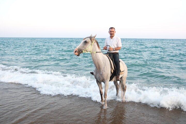 Paseos a caballo en la playa y a través del bosque