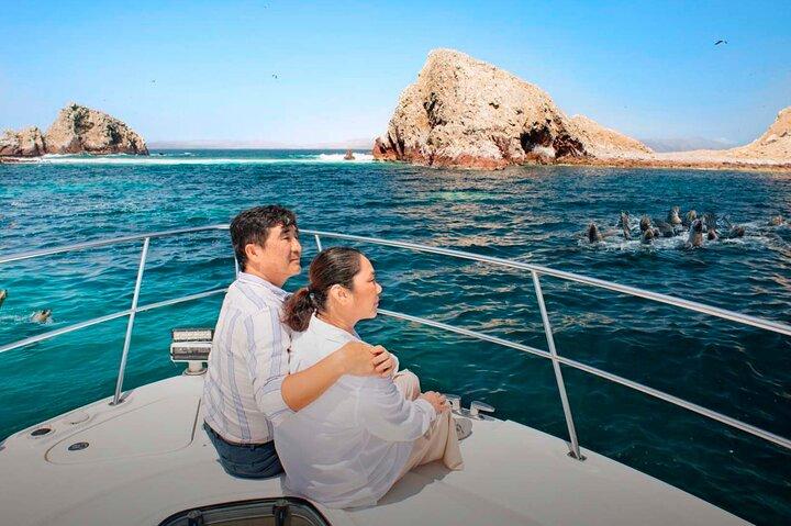 Privat heldags Paracas-reservat och Ballestasöarna från Lima