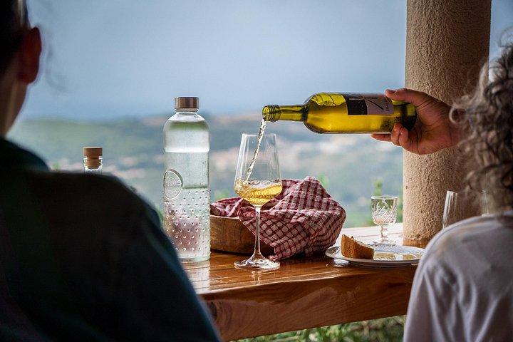 Olive farm & village