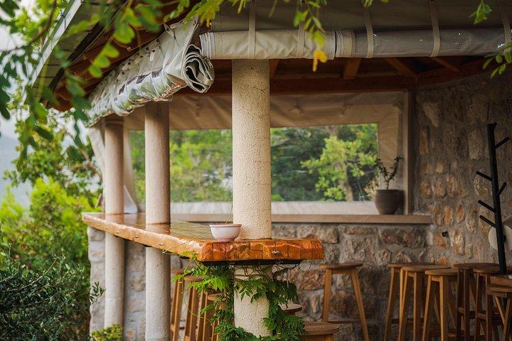 Olive farm & village