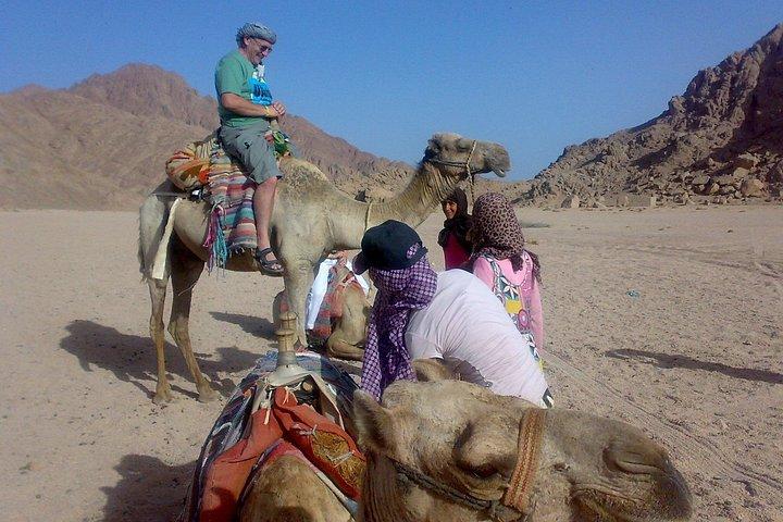 Desert Safari 5x1 Quad Camel Dinner Show Stargazing