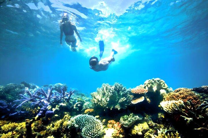 Blue Lagoon Snorkling och Ubud Waterfall Tour