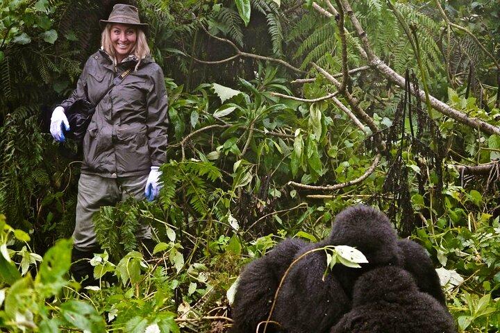 Excursão Primata de 14 Dias em Uganda e Ruanda