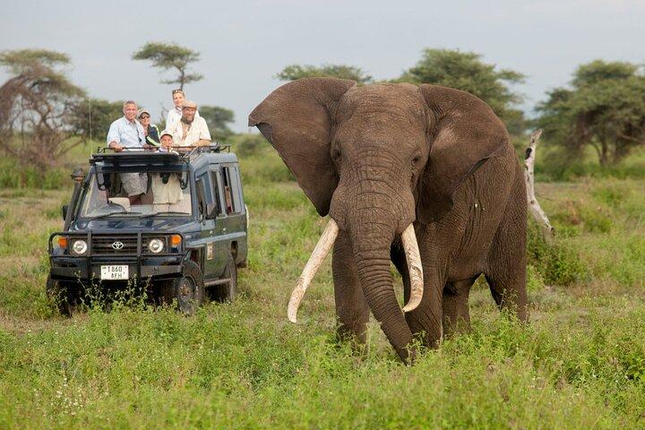 Excursão Primata de 14 Dias em Uganda e Ruanda