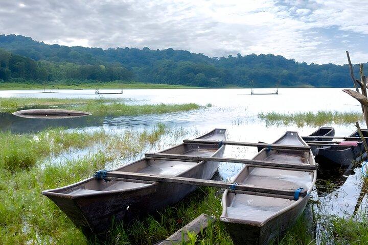 Bali Jungle Trekking in Beautiful Rainforest