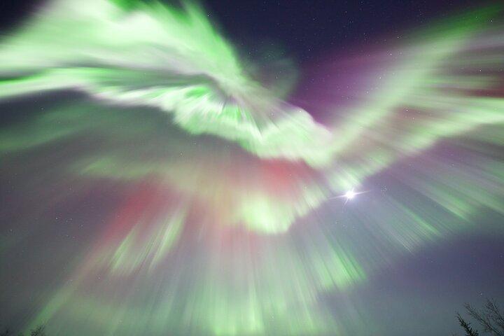 アラスカの北極圏とオーロラ鑑賞を巡る1日ツアー