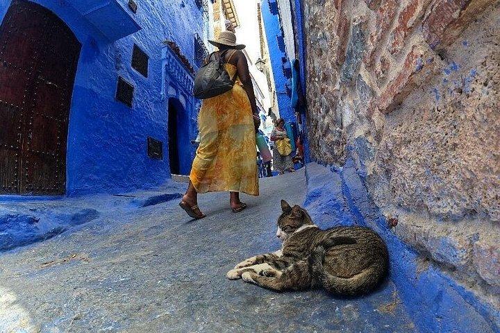 Full-Day Guided Tour from Fez to Chefchaouen