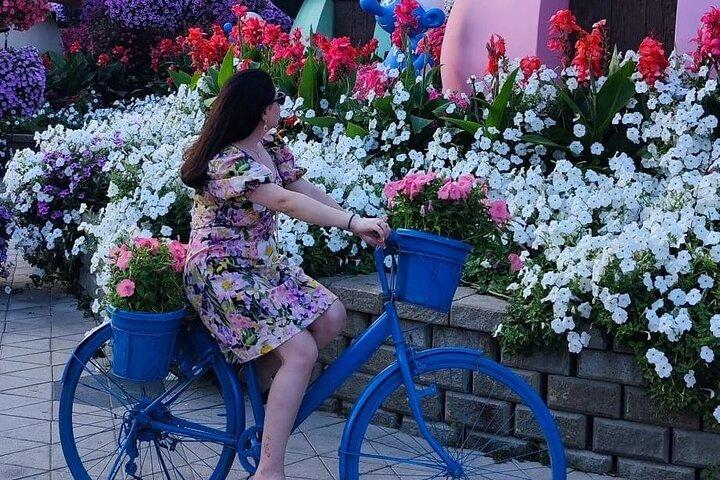 Dubai Miracle Garden and Dubai Frame Tour with Transfer
