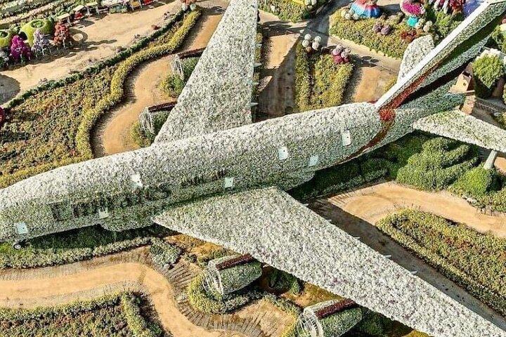 Dubai Miracle Garden and Dubai Frame Tour with Transfer