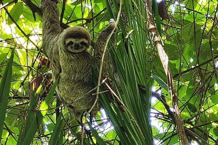 サンノゼからマヌエル アントニオ、ケポスへのプライベート交通手段