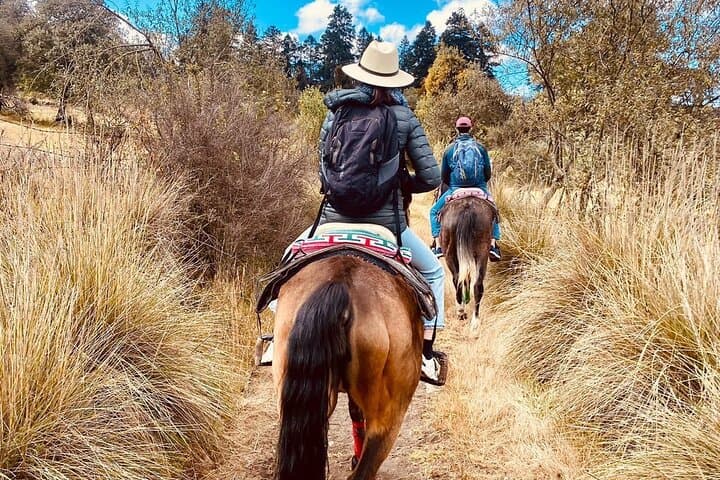 Horseback, Culture & Mexican Flavors Experience