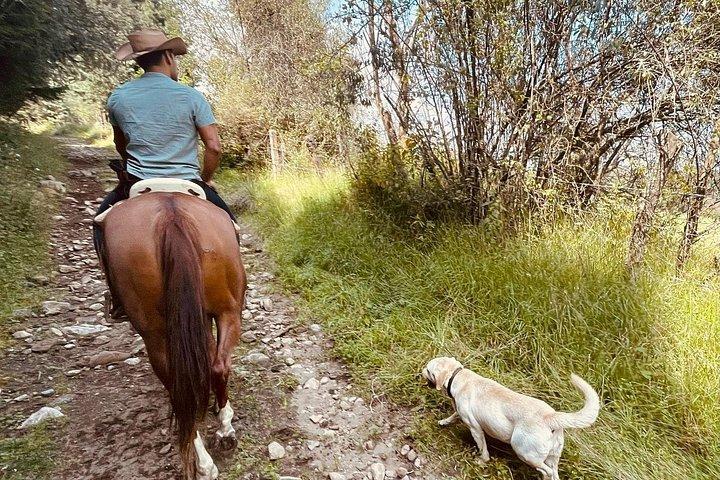 Horseback, Culture & Mexican Flavors Experience