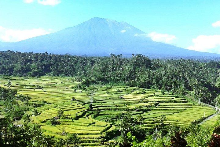 Pacchetti turistici del Tempio Besakih e delle cascate di Ubud