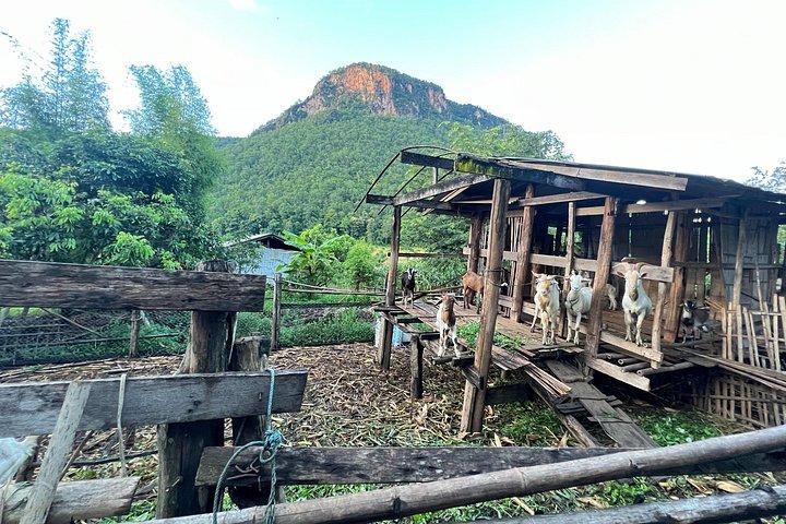 チェンダオ洞窟と山岳民族の 5 つの村