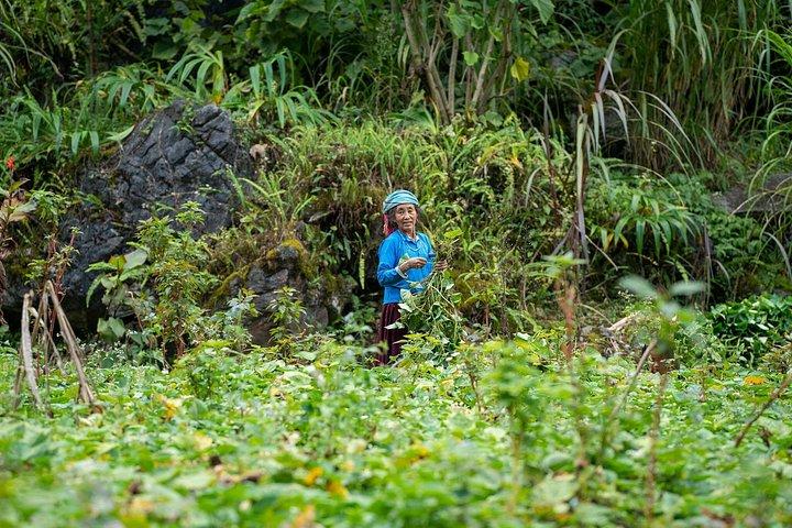 グループツアー-人里離れた道北ベトナム7泊8日