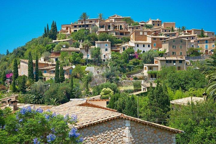 Mallorca Instafamous WEST: Valldemossa, Wine Experience and Palma