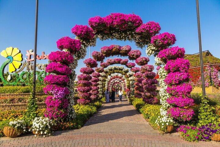 Miracle Garden Dubai