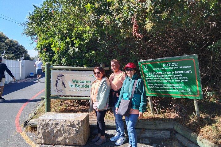 Private Sightseeing Tour to Table Mountain Penguins Cape Point
