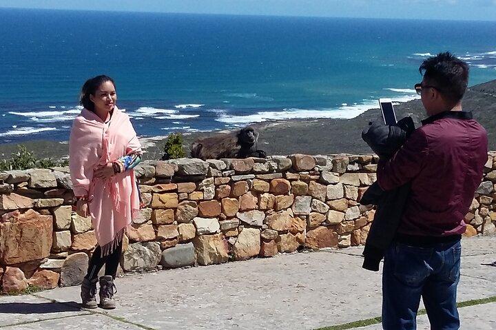 Private Sightseeing Tour to Table Mountain Penguins Cape Point