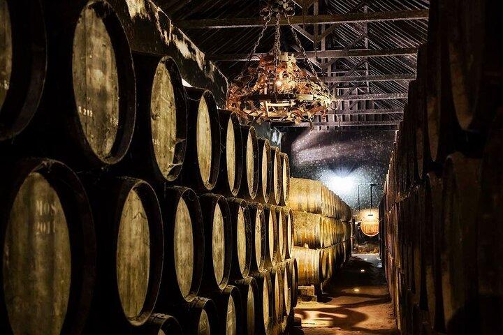 Azeitão Private Weintour ab Lissabon – Premium Weingüter