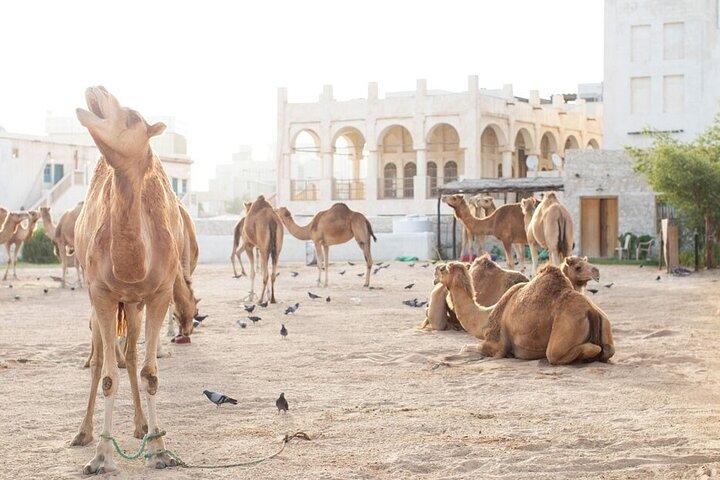 4-uur durende privé groepsrondleiding door Doha, Qatar