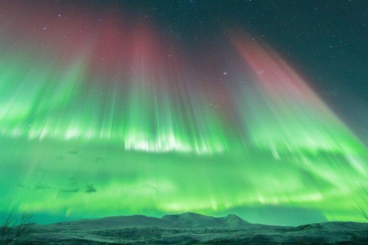 Aurora Jakt med lägerelden och professionell fotograf