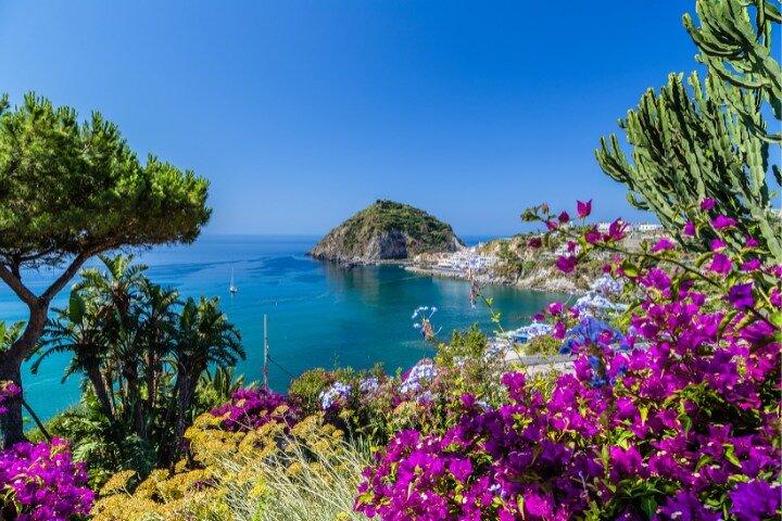Trasferimento privato dall'aeroporto di Napoli all'isola d'Ischia