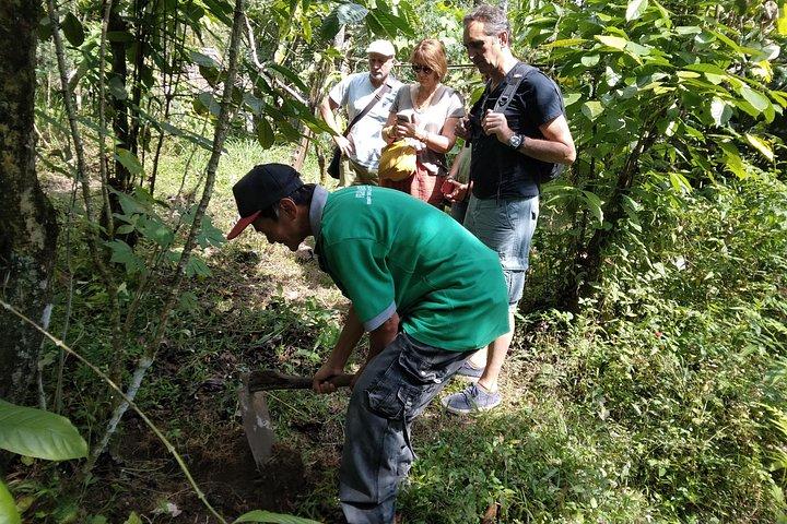 Yogyakarta Countryside Walking Tour