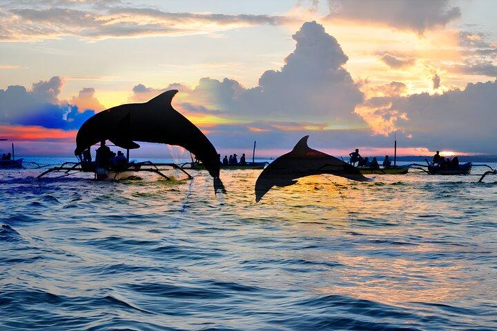 Fantastisk Bali Dolphin Watching turoplevelse