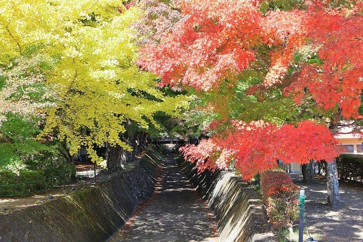 Lake Kawaguchi ⇔ Tokyo Bus Tickets