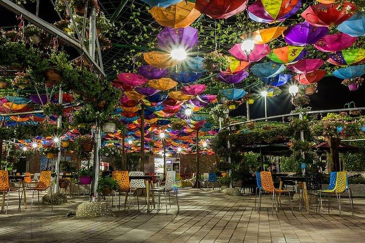 Burj Khalifa en Miracle Garden Tour met privétransfers