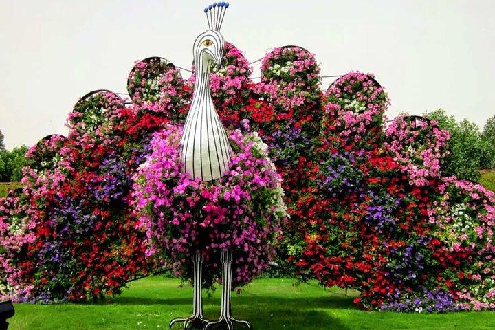 Burj Khalifa en Miracle Garden Tour met privétransfers