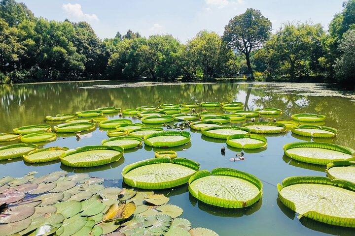 プライベート 1 日ツアー：西湖、雷峰塔、合芳街