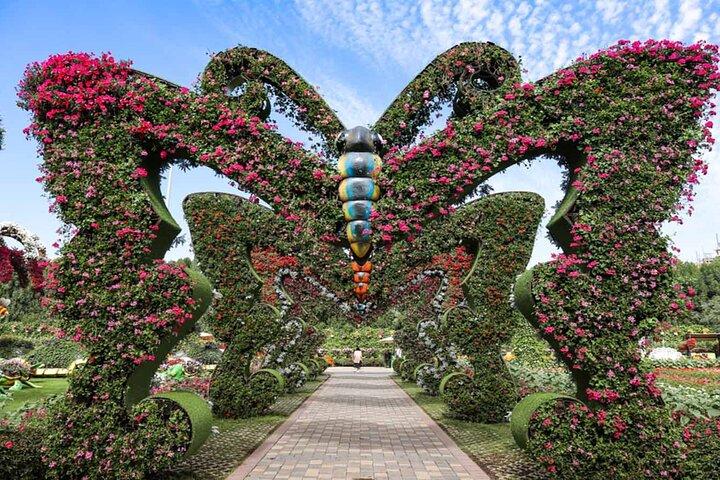 Dubai Butterfly Garden Admission Ticket